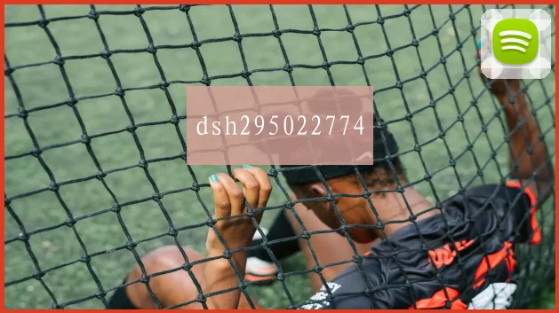 dsh295022774