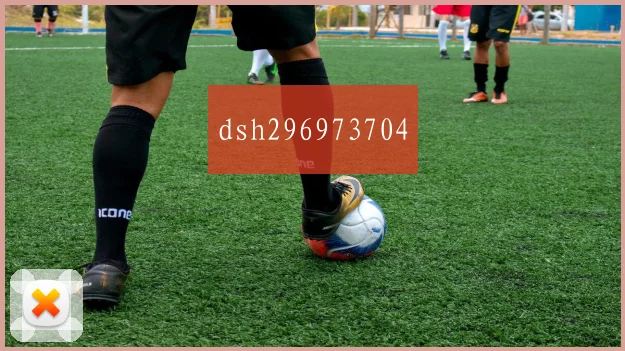 dsh296973704