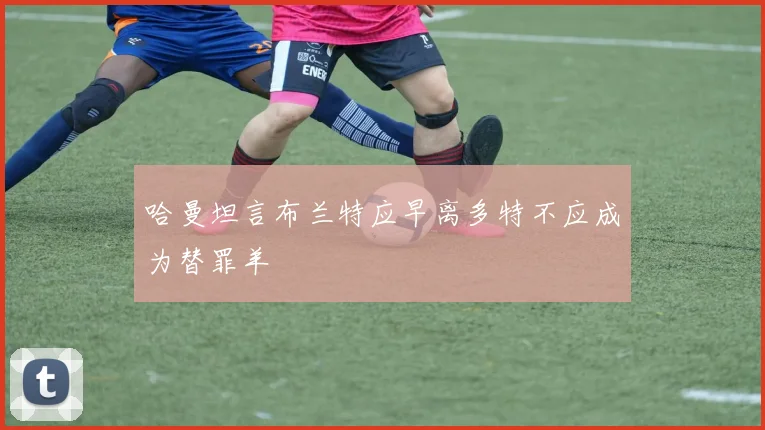 哈曼坦言布兰特应早离多特不应成为替罪羊